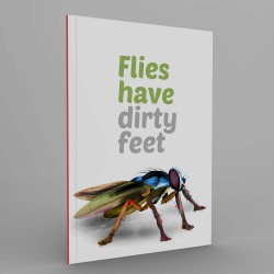 Flies have dirty feet